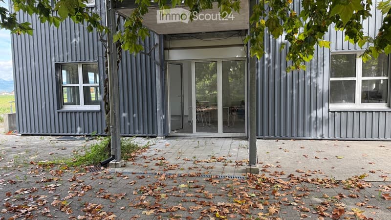 Modern grey building with large windows and a covered entrance area, surrounded by scattered leaves on a paved ground.