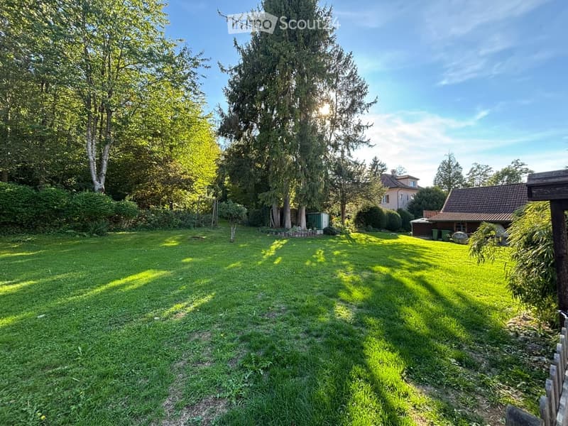 A well-maintained garden with a large, open lawn, tall trees, and a small shed. The area is surrounded by greenery and features a clear blue sky.