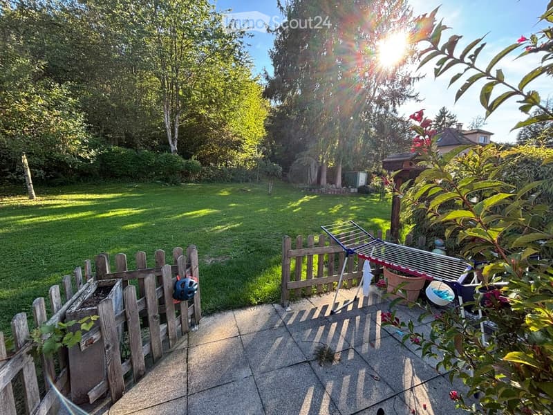 A sunny garden with a wooden fence, a clothes drying rack, potted plants, and a grassy lawn surrounded by trees.