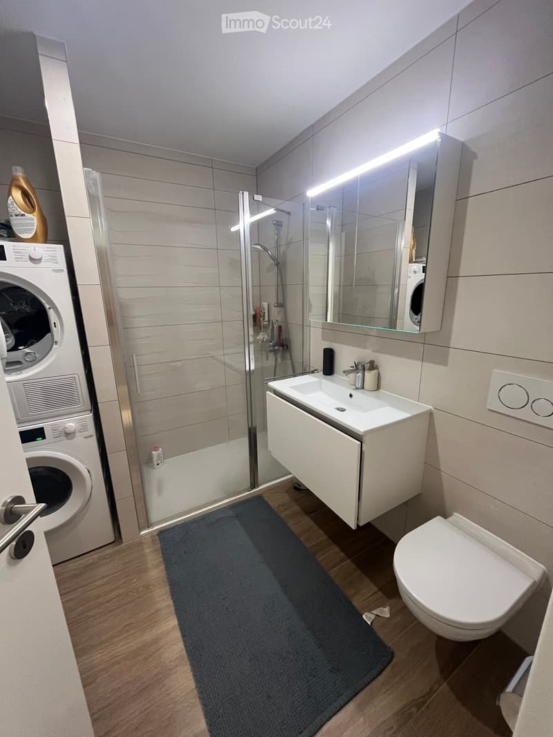 Modern bathroom with a white sink, toilet, mirror, shower, and a private washing machine. Features a blue bath mat and wooden flooring.