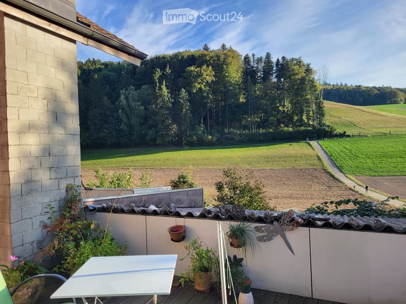 Balcony with a wooden floor, white table, chairs, and potted plants, overlooking a green field and trees.