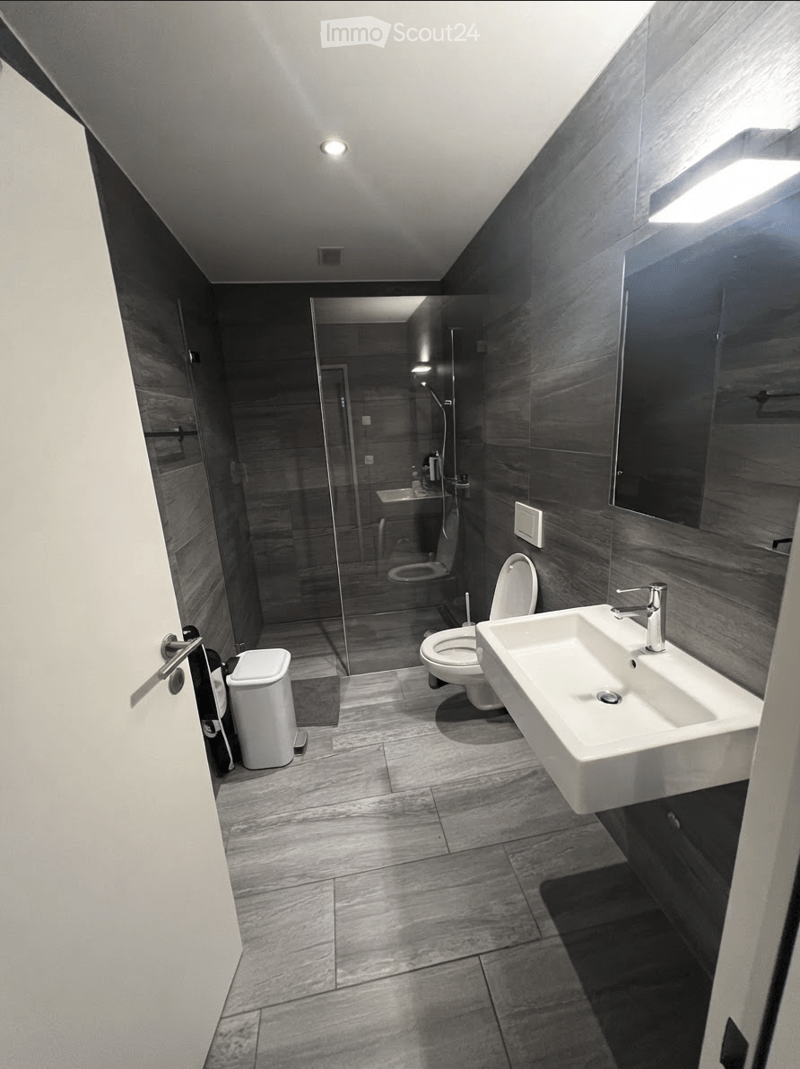 Modern bathroom with dark grey tiles, a white sink, toilet, mirror, and a glass-enclosed shower area.