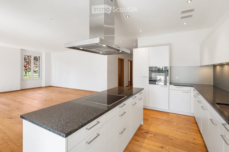 Modern kitchen with white cabinets, granite countertops, induction cooktop, built-in oven, and range hood. Wooden flooring and large window with view of greenery.