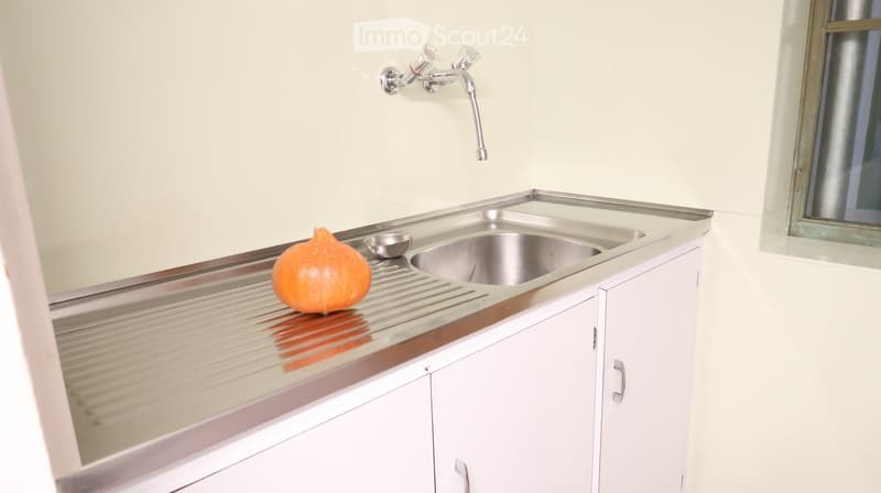Stainless steel sink with faucet, white cabinets, and a pumpkin on the counter.