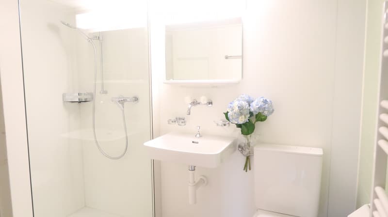 Modern, compact bathroom with white tiles, a corner shower, a sink with a mirror, and a toilet. A vase with blue flowers is placed on the sink counter.