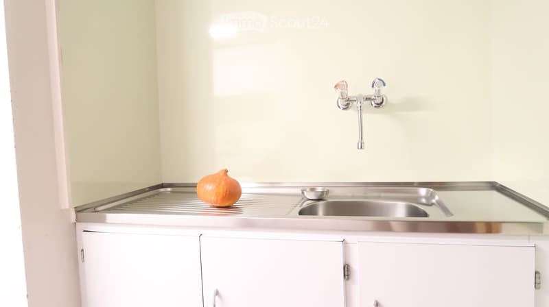 A small, minimalist kitchen with white cabinets, a stainless steel sink, and a faucet above it. A single orange fruit and a small metal bowl rest on the counter.