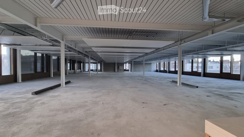 Empty industrial-style room with concrete floor, exposed white beams, and large windows allowing natural light.