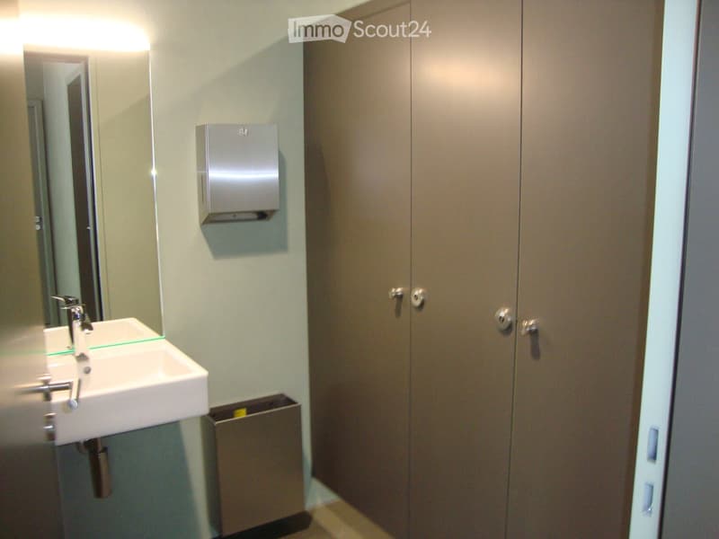 Modern bathroom with a white sink, mirror, and paper towel dispenser mounted on the wall. Features a built-in storage cabinet with silver handles.