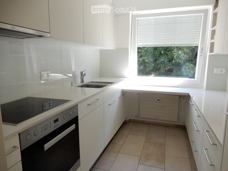 Modern kitchen with white cabinets, a double sink, an induction cooktop, and an oven. The space is bright with large windows and a radiator below one of them.