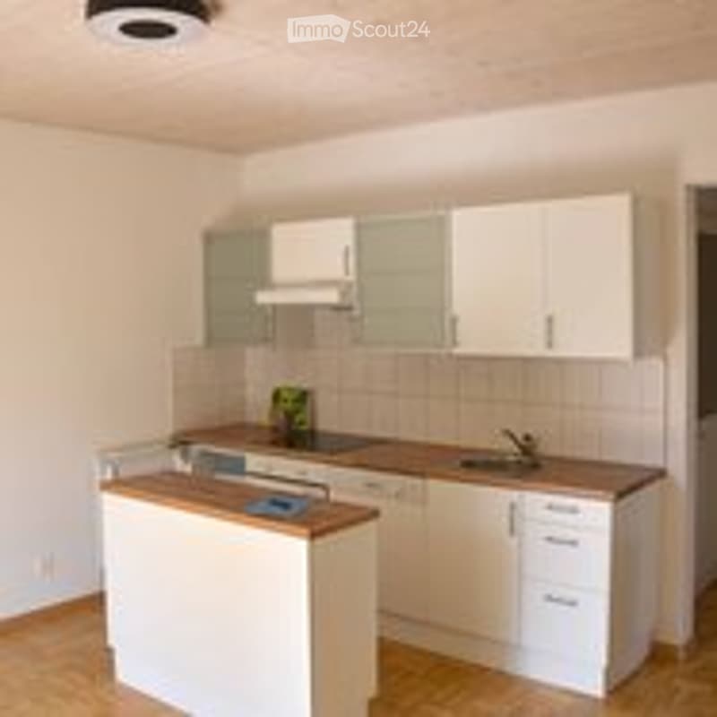Modern kitchen with white cabinets, light wood flooring, and a countertop with a sink and faucet.