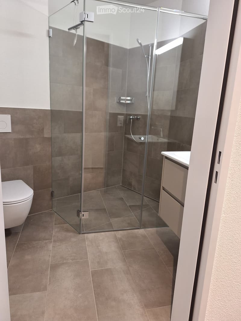 Enclosed glass shower, white porcelain toilet, white tiled wall, shower head, built-in cabinet, bathtub