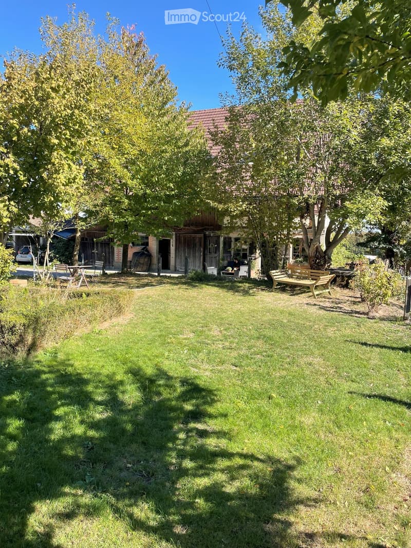 Lush green lawn with trees, a wooden bench, and a rustic house with a red-tiled roof in the background.