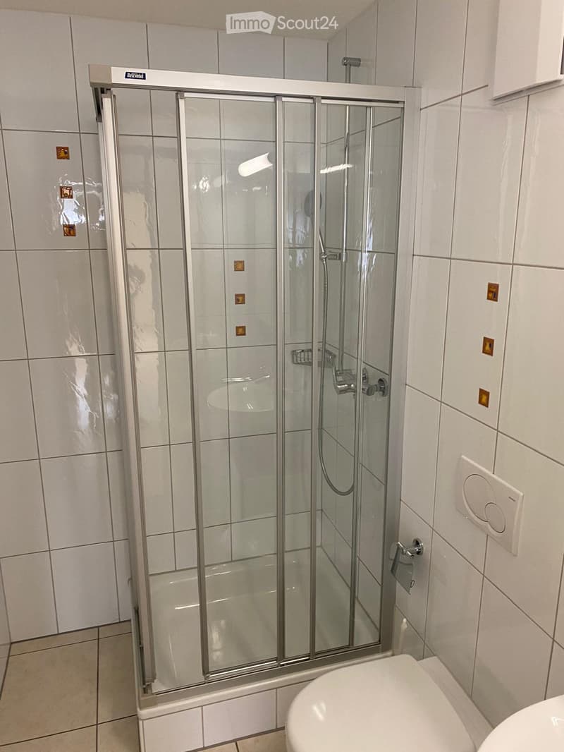 Modern bathroom with white tiled walls and floor, featuring a glass-enclosed shower stall with a silver frame and a toilet visible to the right.