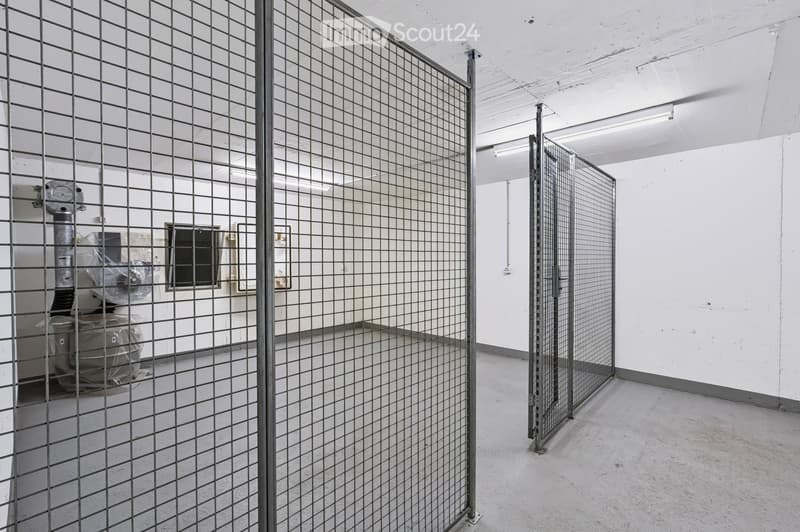 Empty room with white walls, concrete floor, and metal grid partitions. No furniture or equipment visible.