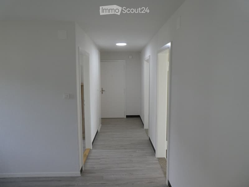 Empty hallway with light grey walls, wooden flooring, and several doors on both sides.