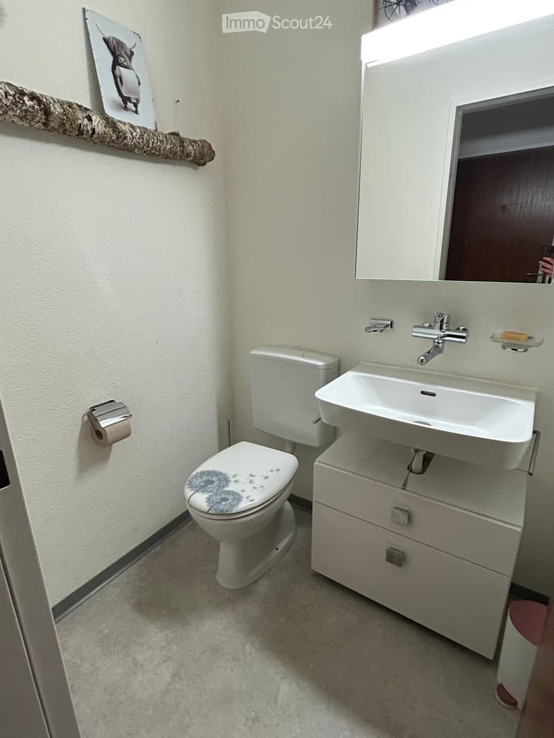 Modern bathroom with a white toilet, sink, and mirror. Features a decorative toilet seat cover and a wall-mounted toilet paper holder.