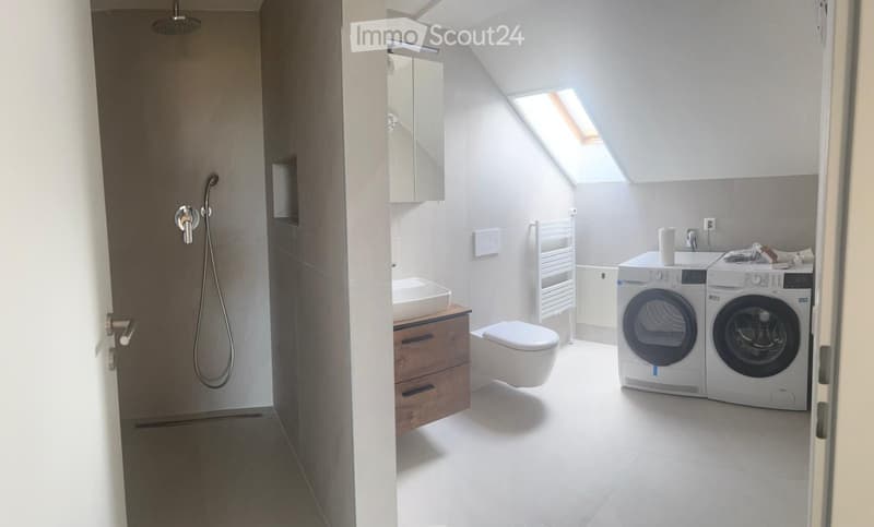 Modern bathroom with a toilet, sink, shower, and a washing machine. Features a skylight window and a towel rack.