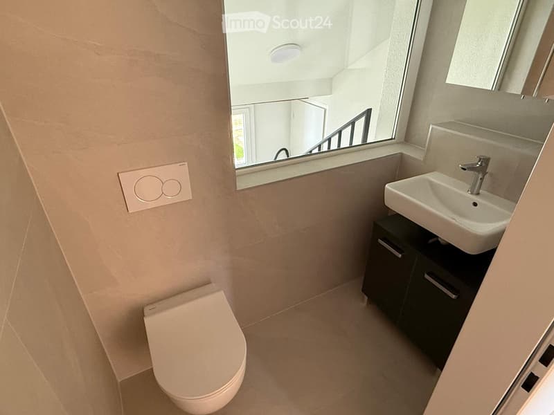 Modern bathroom with a toilet, sink, mirror, and dark cabinet. Features a skylight window and sleek design.