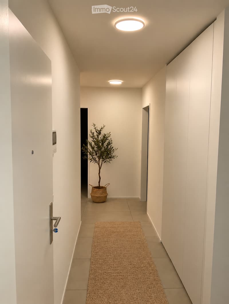 Modern hallway with white walls, recessed lighting, tiled floor, and a small potted plant in the background.