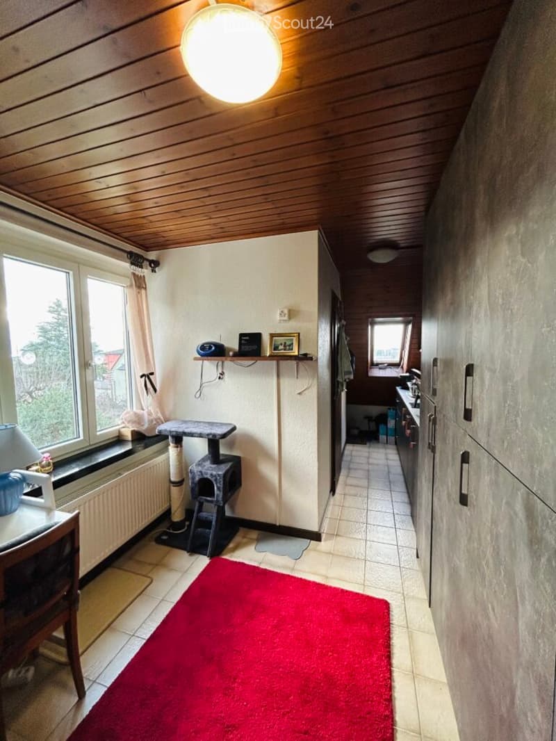 A small, cozy room with a cat tree, a chair, a table, a lamp, and a kitchen area with cabinets, a sink, and a fridge.