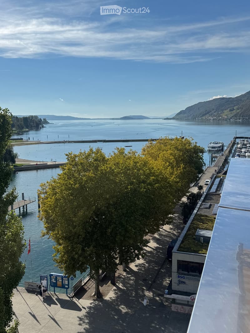 View of a waterfront area with a calm lake, trees, a dock, and distant mountains under a clear blue sky.