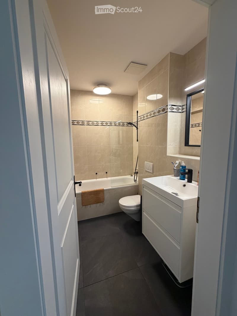 Modern bathroom with a bathtub, toilet, sink, and mirror. Features include a glass shower enclosure, a built-in vanity with storage, and a towel on the edge of the bathtub.