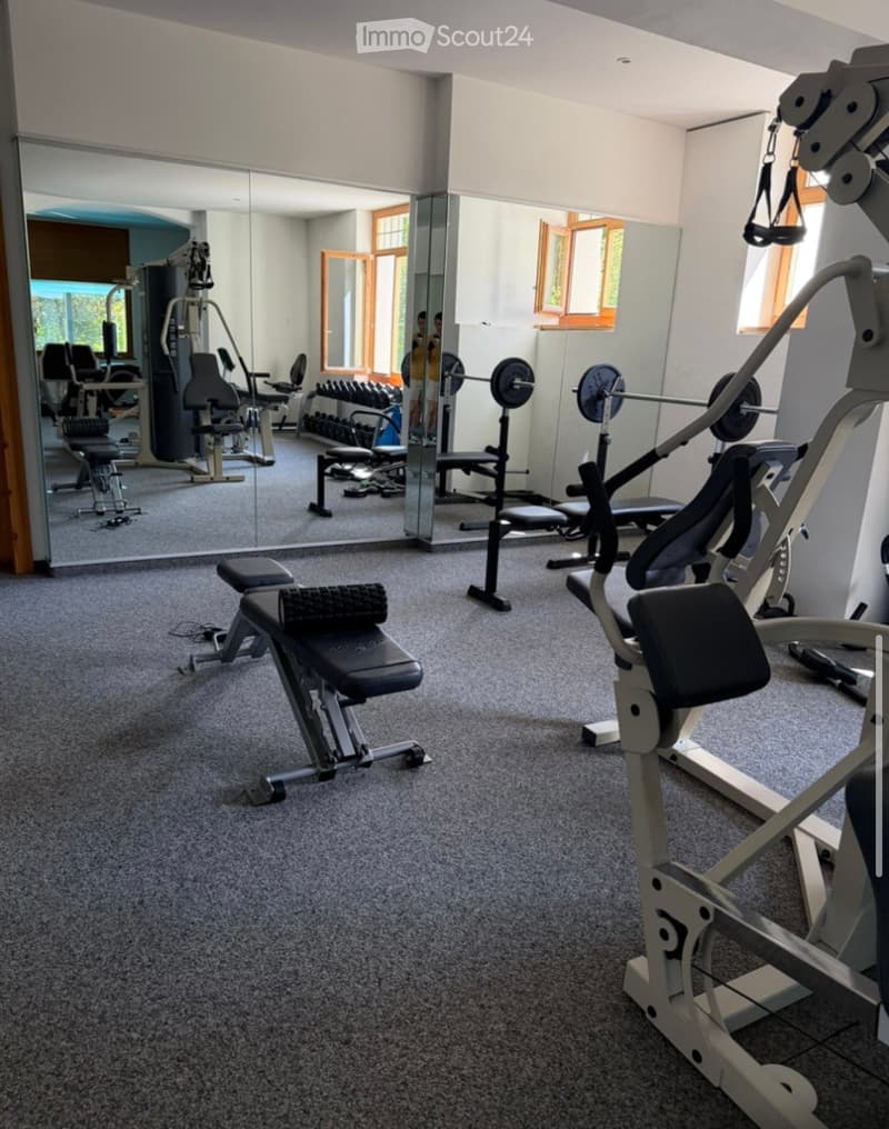 Well-equipped home gym with various exercise machines, dumbbells, and a large mirror on one wall.