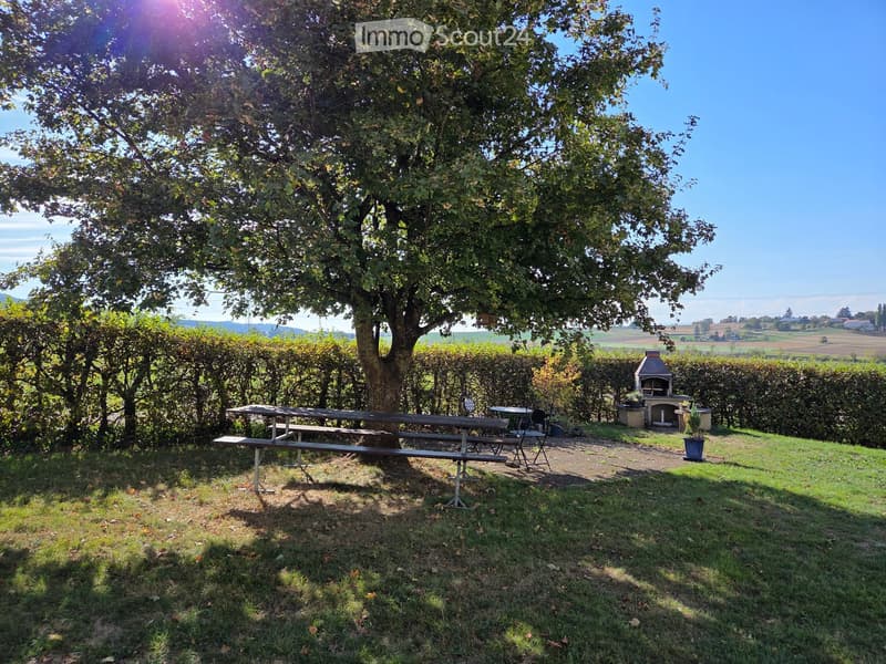 A sunny outdoor area with a large tree, picnic table, benches, a small fireplace, and surrounding greenery.