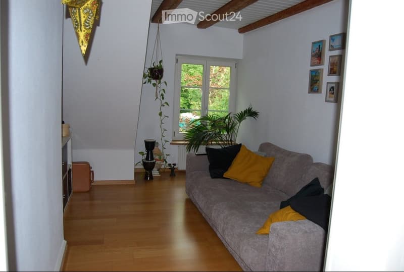 Living room with wooden flooring, grey sofa with yellow and black pillows, small table with potted plants, and picture frames on the wall.