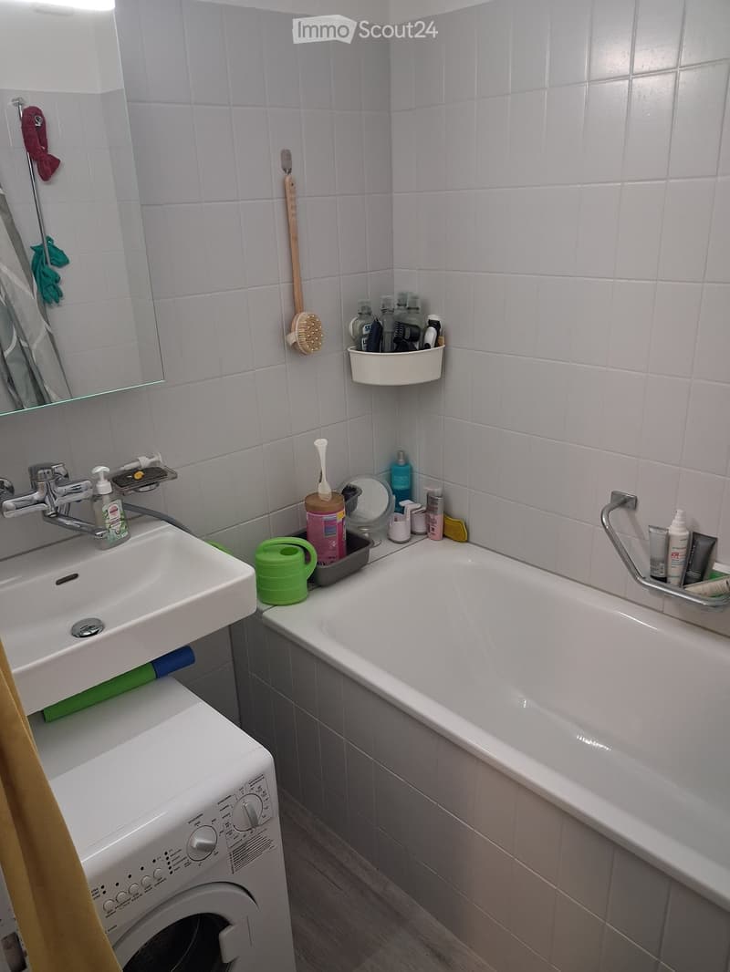 Bathroom with a sink, faucet, bathtub, washing machine, toothbrush holder, soap dispenser, and various bathroom accessories.