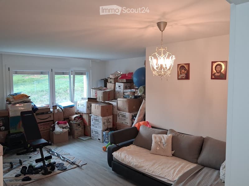 Living room with a sofa, exercise bike, weights, and several cardboard boxes stacked around the room. There is a chandelier hanging from the ceiling and two picture frames on the wall.
