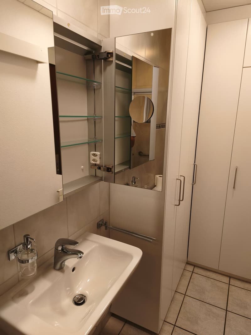 Modern bathroom with a white sink, chrome faucet, mirrored cabinet, and built-in storage. Features a sleek design with glass shelves and a soap dispenser.