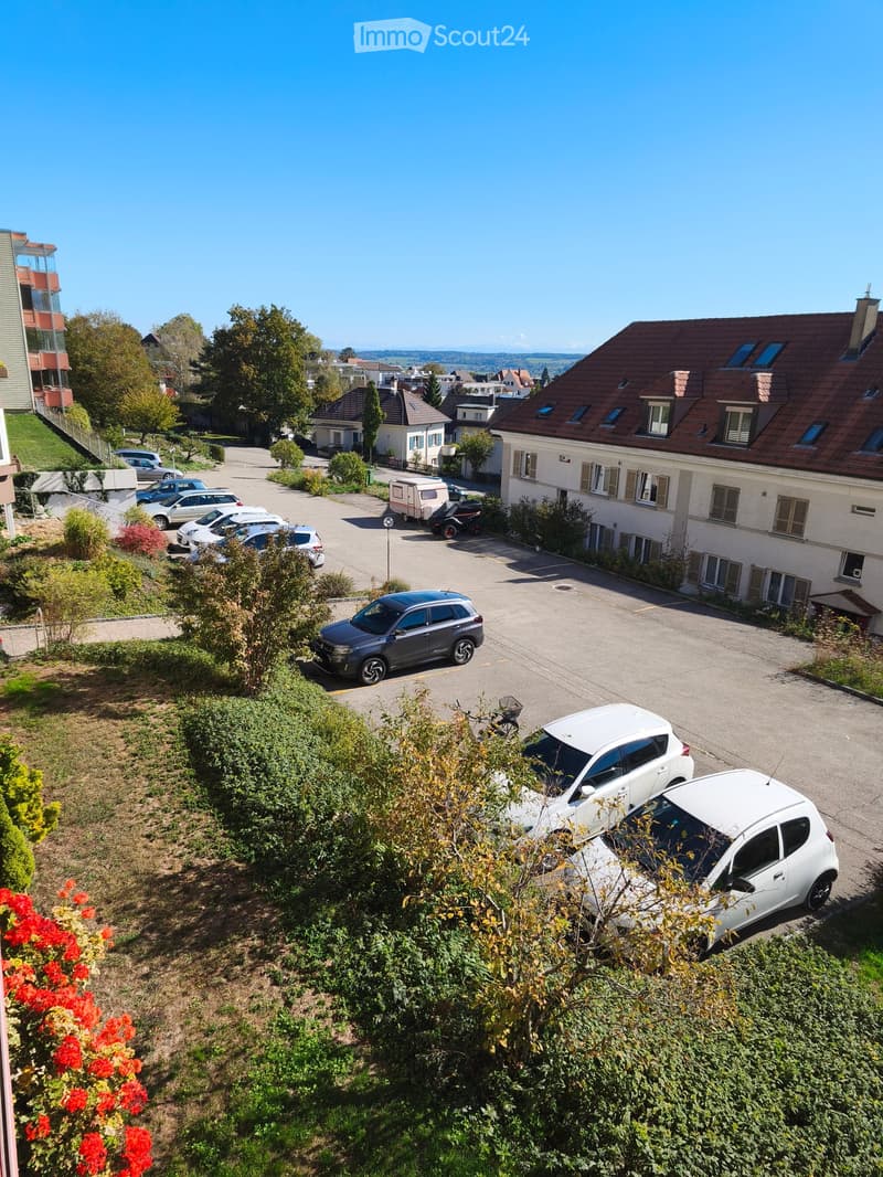 Aerial view of a residential area with multiple parked cars, houses, and greenery.