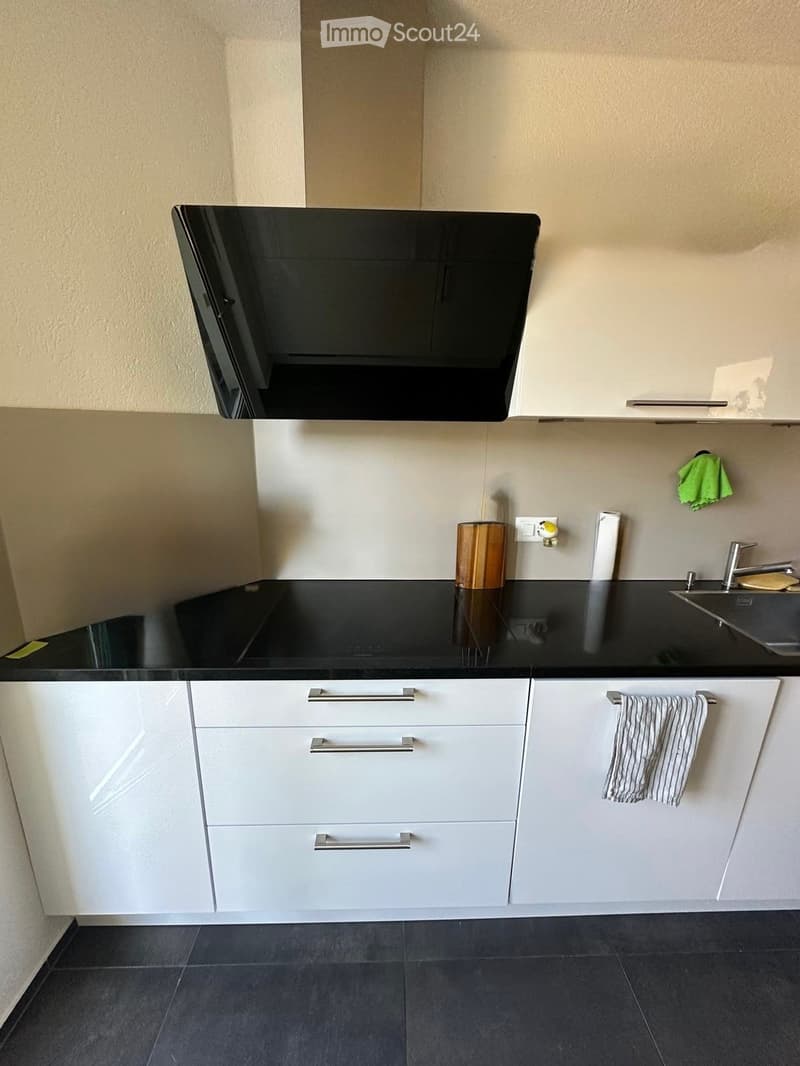 Modern kitchen with white cabinets, black countertops, and stainless steel sink.