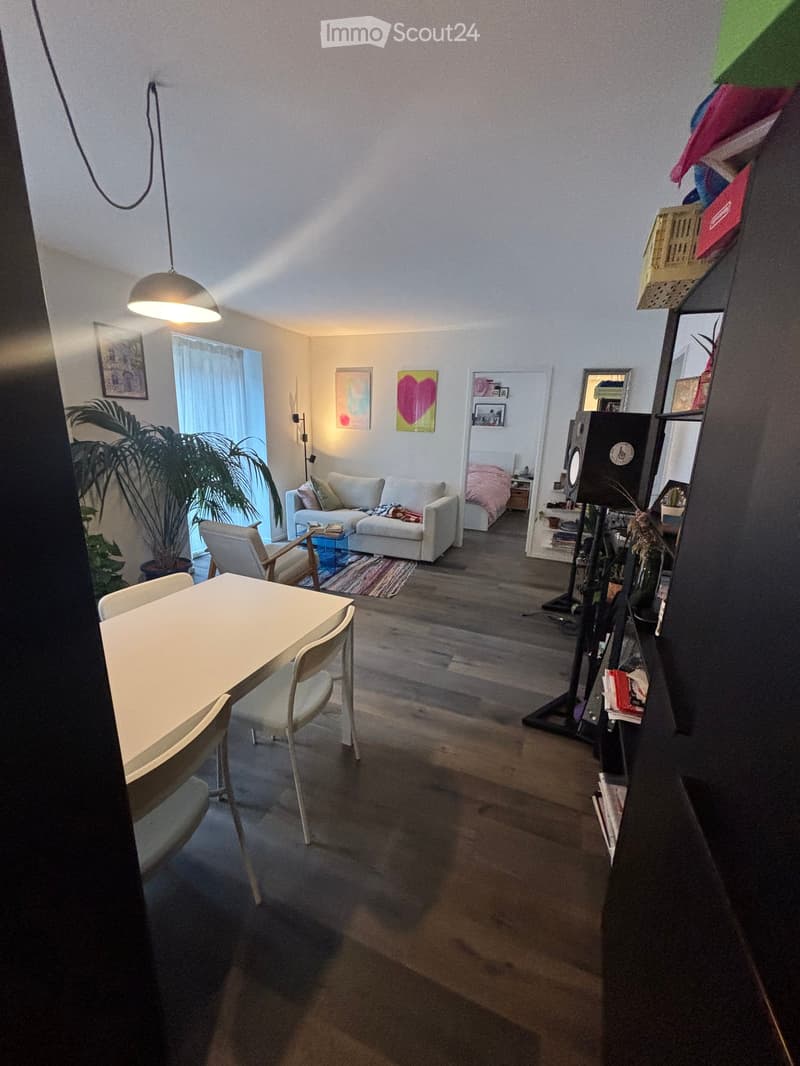 A modern, open-concept living and dining area with a white sofa, dining table, chairs, bookshelf, and a potted plant near the window.