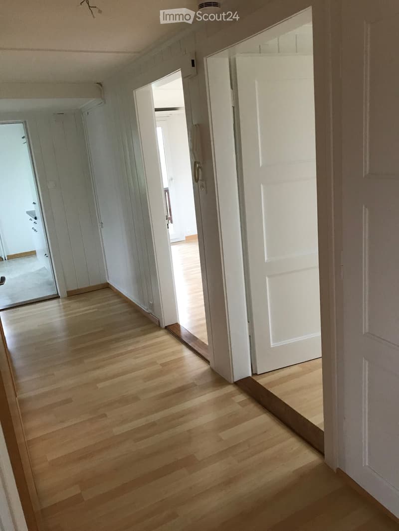 Empty hallway with light wooden flooring, white walls, and several closed doors leading to other rooms.