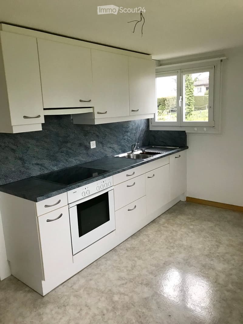 Modern kitchen with white cabinets, stainless steel sink, and built-in oven. Grey tiled backsplash and black countertop.