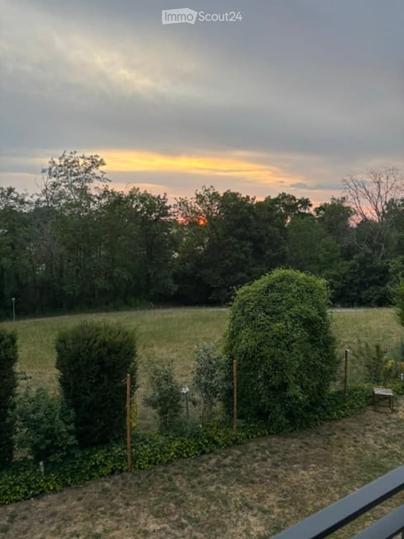 Garden area with trimmed hedges, open lawn, and trees, viewed from a balcony during sunset.
