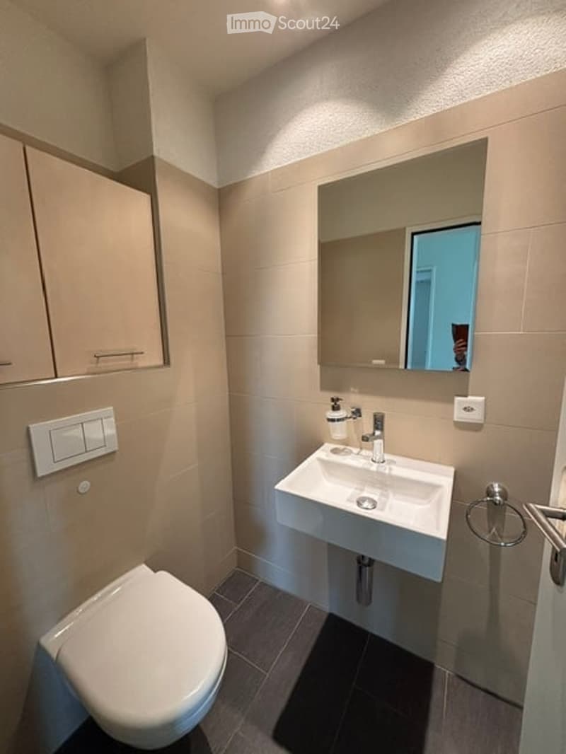 Modern bathroom with a white toilet, a white sink with a chrome faucet, a large mirror, and a built-in cabinet above the sink.