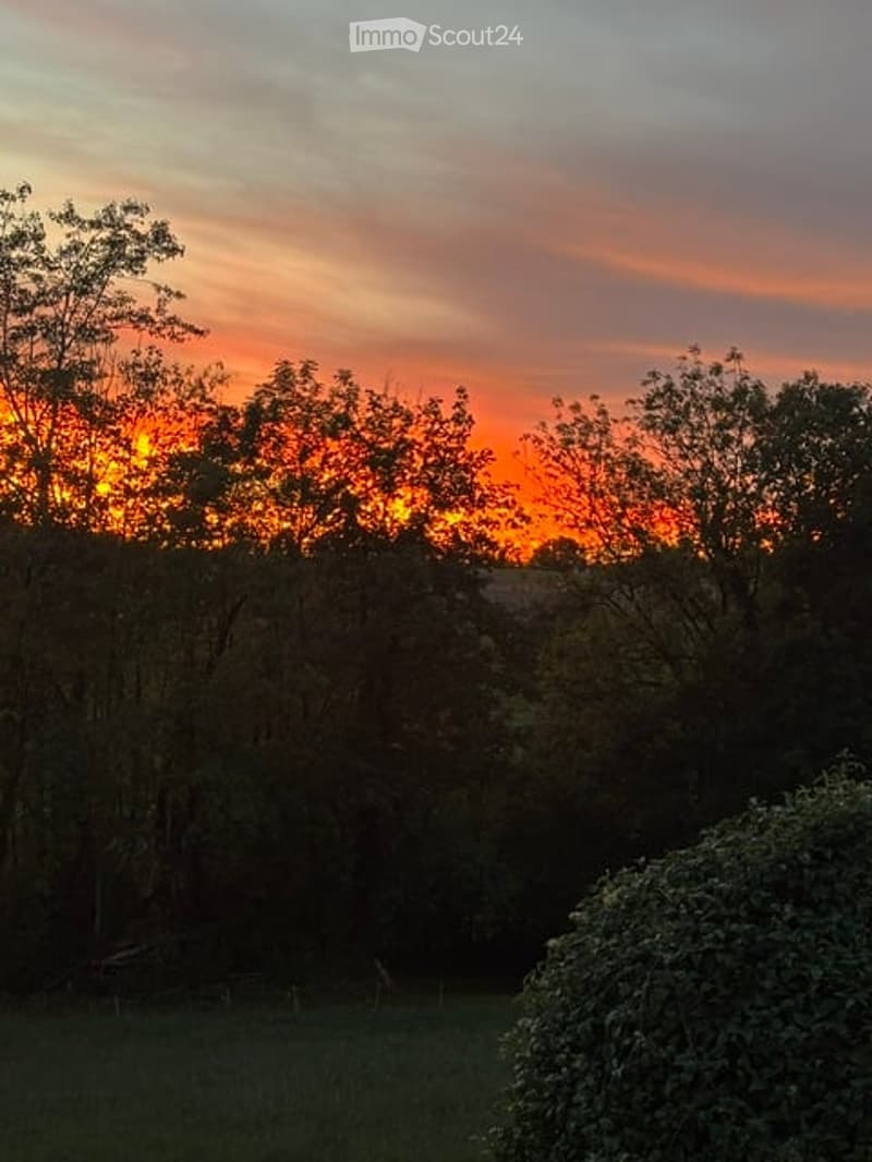 A serene garden scene at sunset, with trees silhouetted against a vibrant orange and pink sky, and a well-maintained lawn in the foreground.