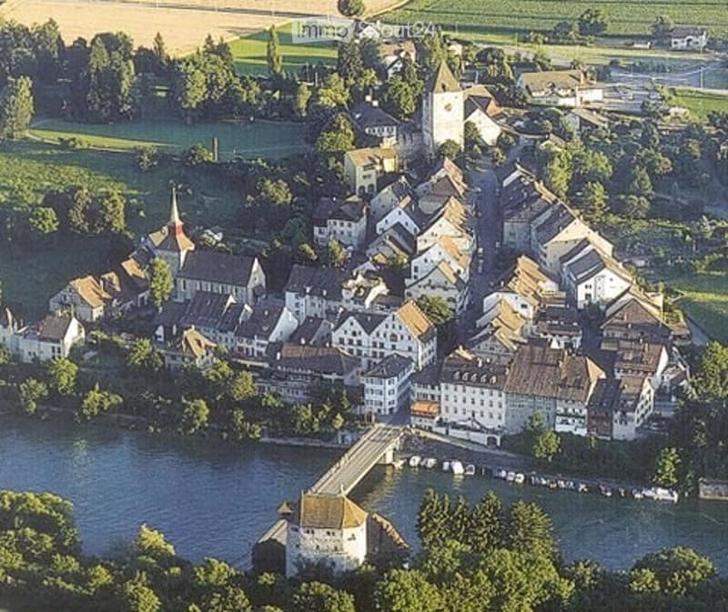Aerial view of a small European village with traditional houses, a church tower, and a river running through it.