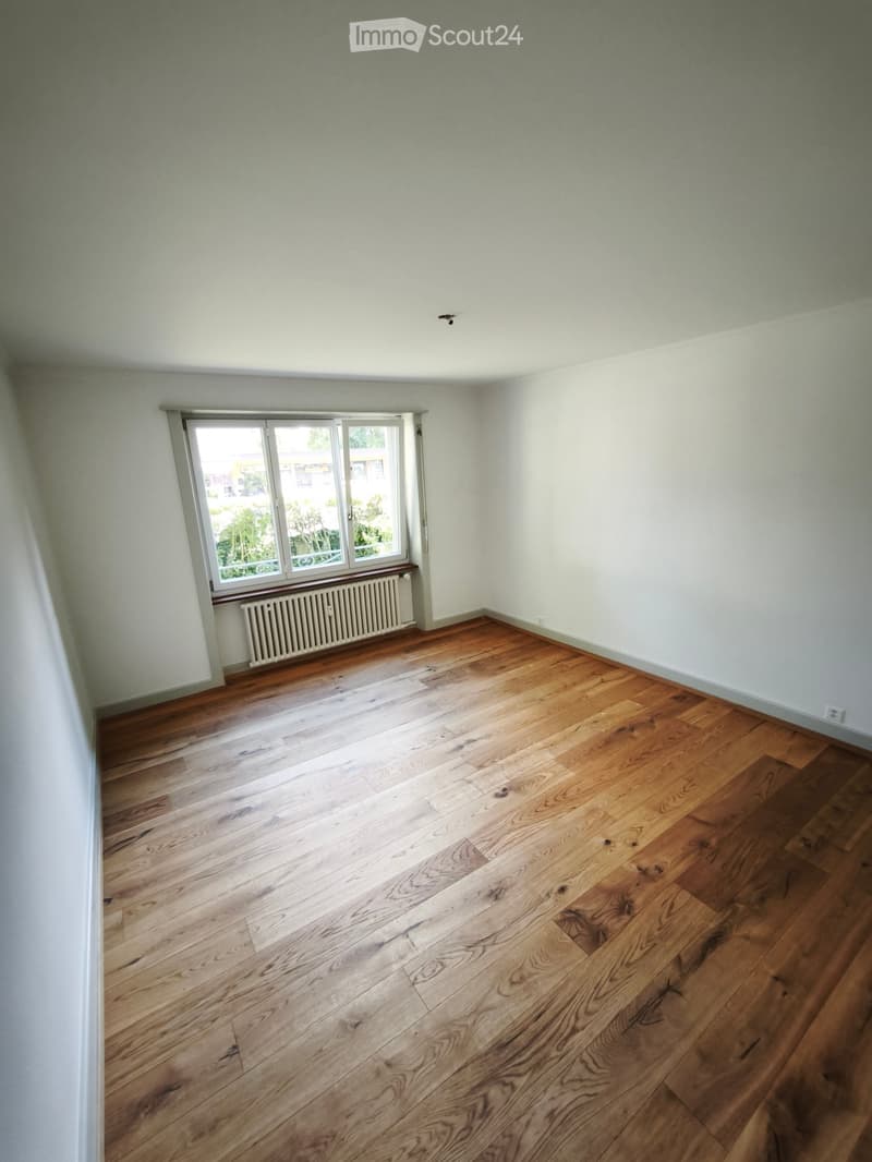 Empty room with light green walls, wooden floor, large window with white frame, radiator below window, and visible light fixture on ceiling.