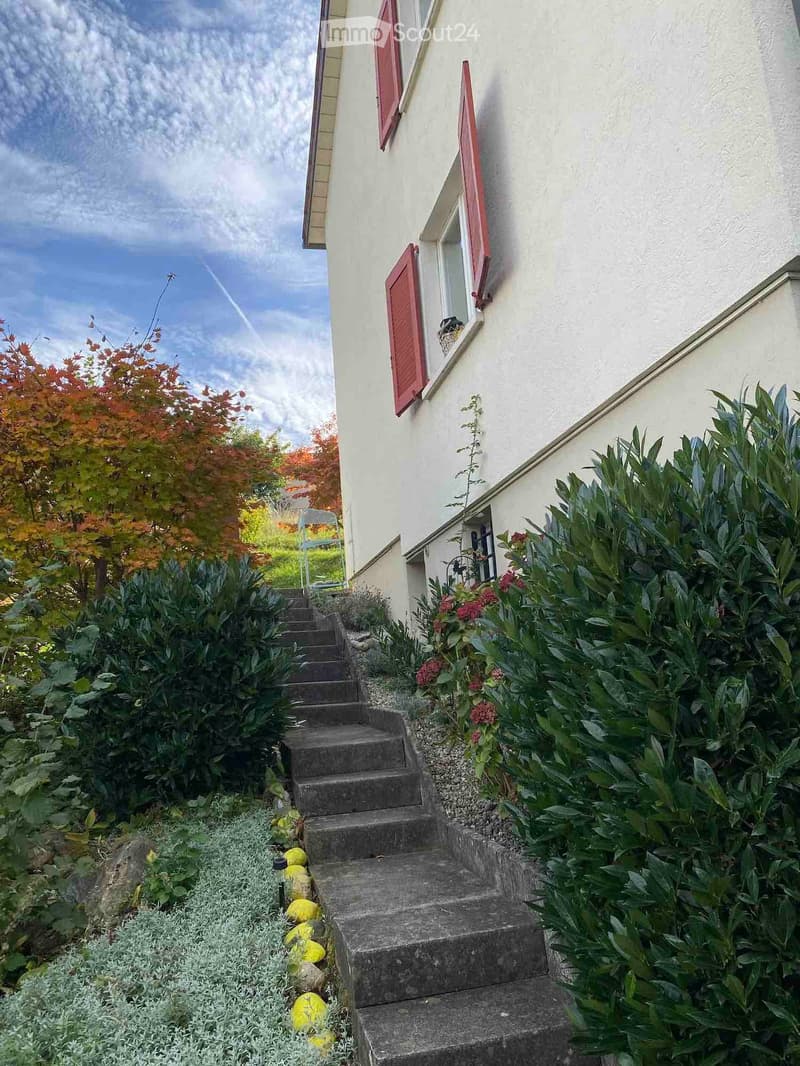 A well-maintained garden with a stone staircase leading up to a house with white walls and red shutters. The garden features various shrubs, flowers, and a small tree with autumn-colored leaves.