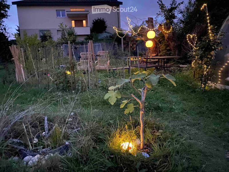Garden area with outdoor seating, string lights, and a small tree, surrounded by greenery and a house in the background.