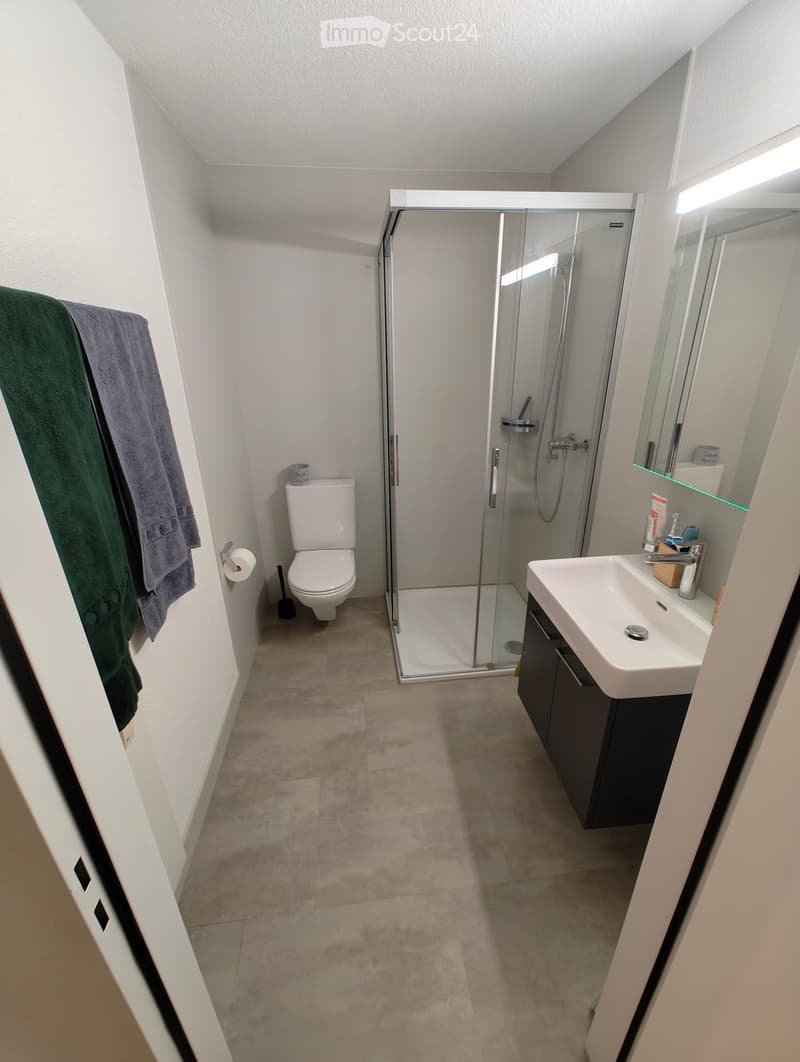 Wohnung in Triengen (9)