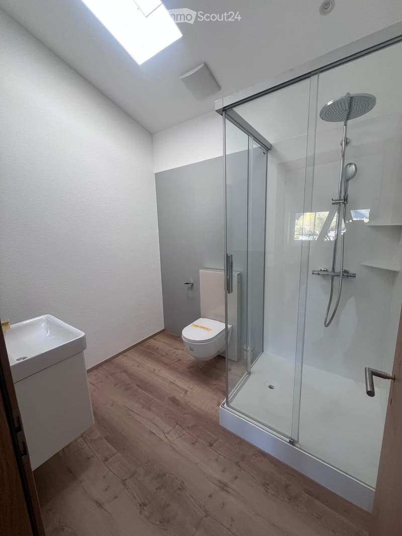The image shows a modern bathroom with a glass shower enclosure, a toilet, and a vanity unit. The floor is covered with wood-like tiles, and the walls are painted in a light color. The bathroom appears to be well-lit, with a skylight providing natural lig
