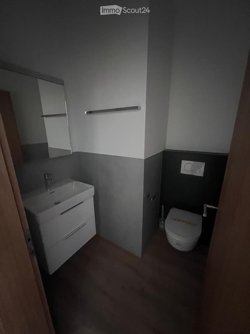 Small bathroom with white vanity, toilet, and dark walls