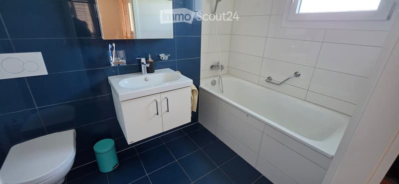 Modern bathroom with dark blue tiles, white sink cabinet, bathtub with handrail, and a mirror above the sink.