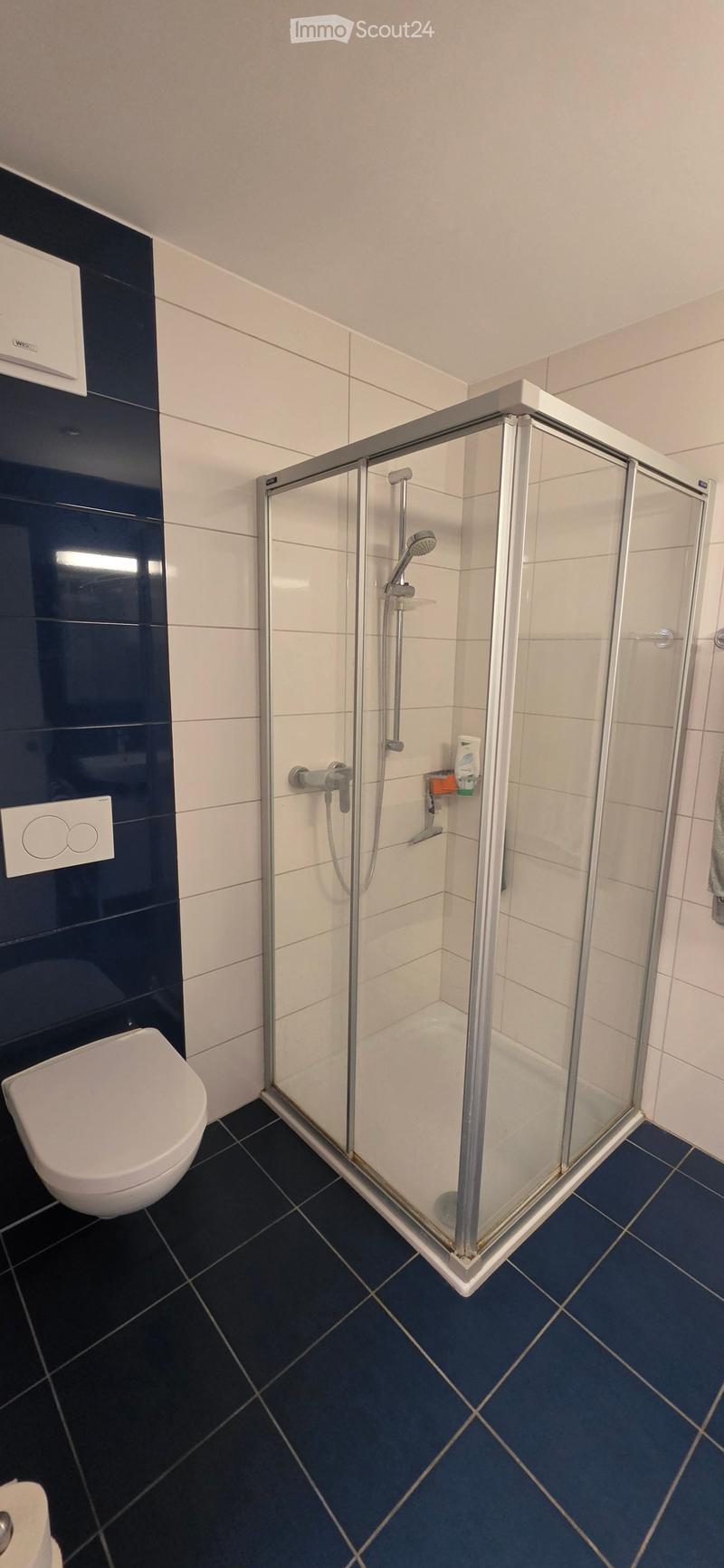 Modern bathroom with a white toilet, a glass-enclosed shower with a handheld showerhead, and a dark blue accent wall.