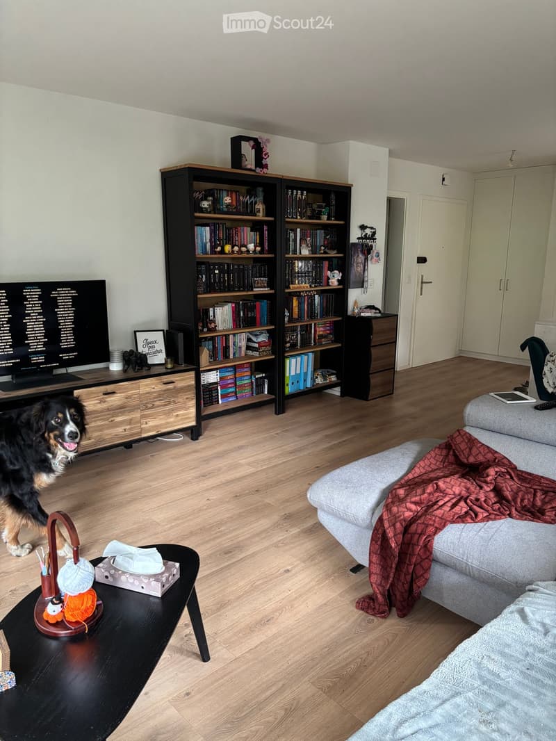 Modern living room with wooden flooring, a grey sofa with a red blanket, a black coffee table with various items, a large bookshelf filled with books and decorative items, and a television on a wooden stand.